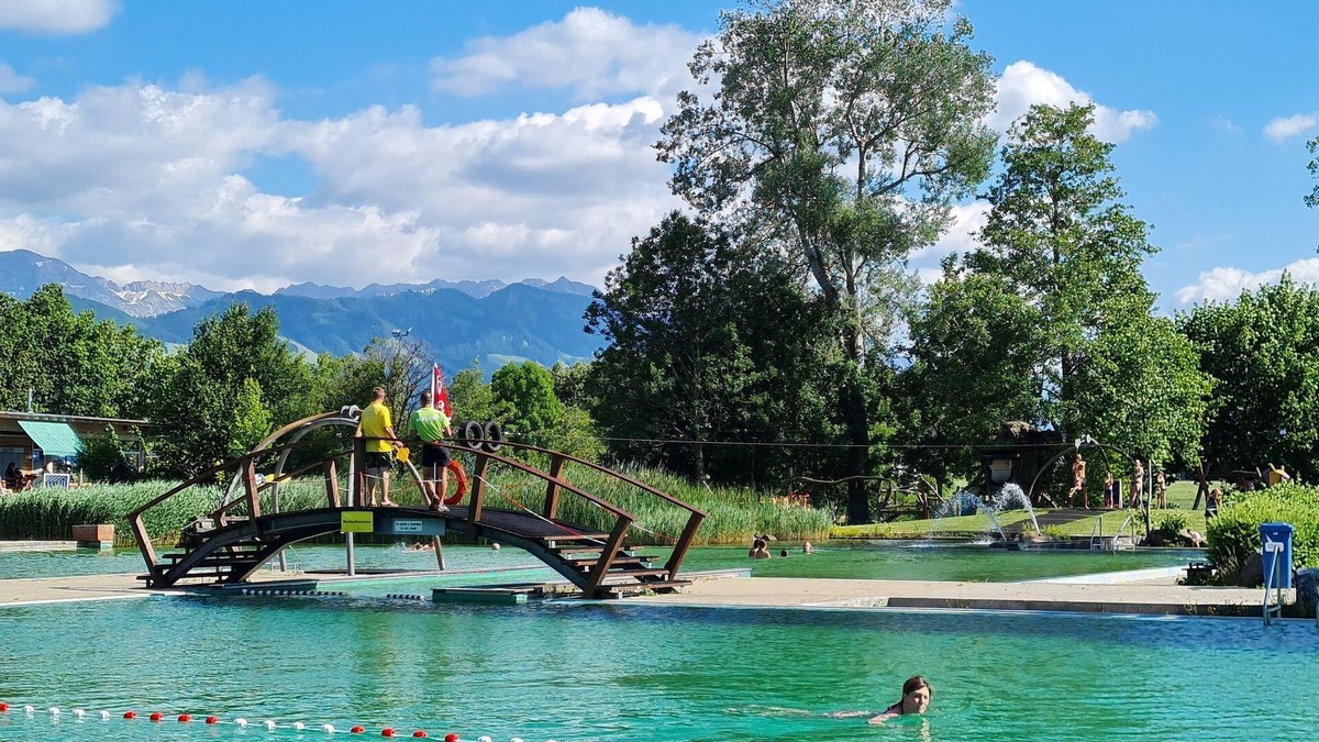 Burgberg Apartment | Horses - Ferienhof Hierl