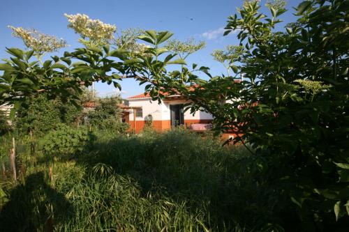 Tomar Apartment | Horto do Amor