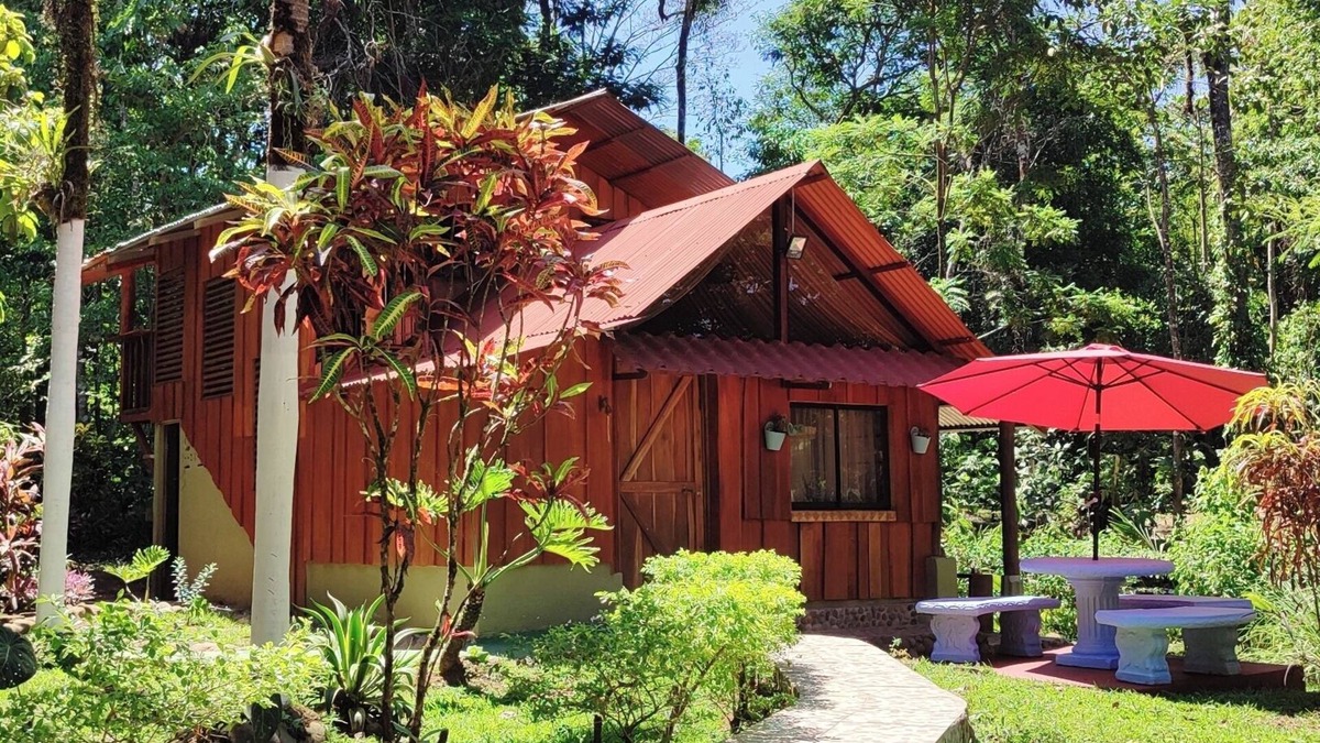 Agonia Cabin | Hospedaje en Bosque Tropical Reforestado, Lleno de Naturaleza, paz y Relajación