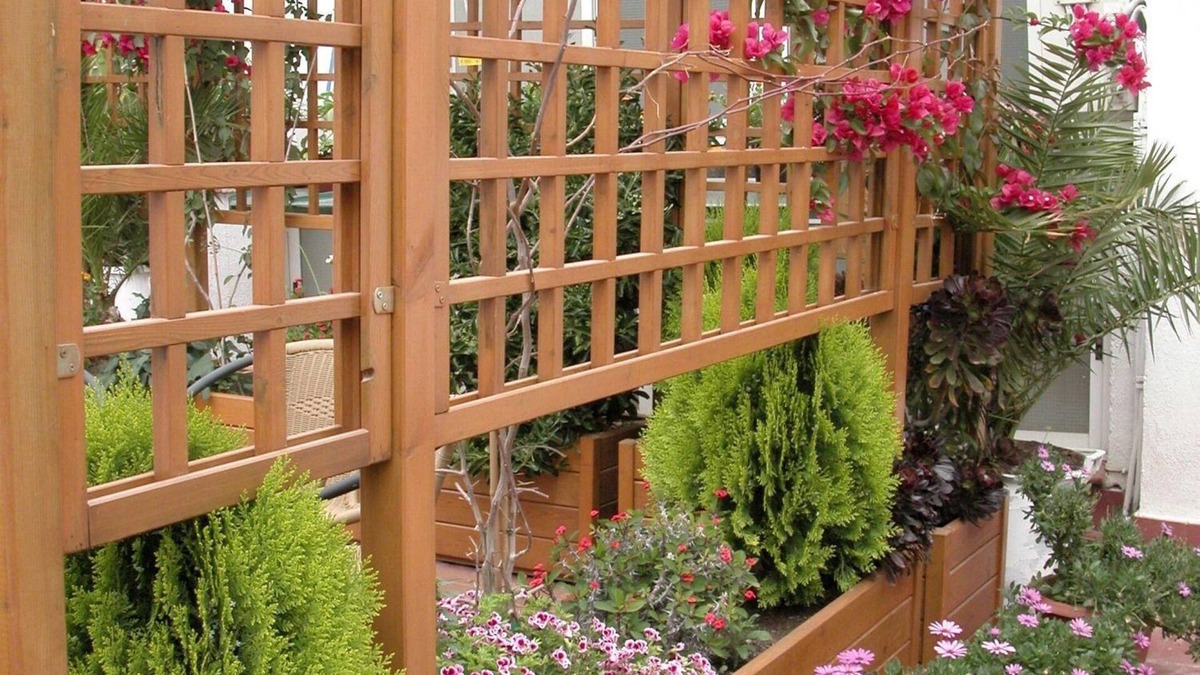 Sant Carles de la Rapita House | Hostal Agustí