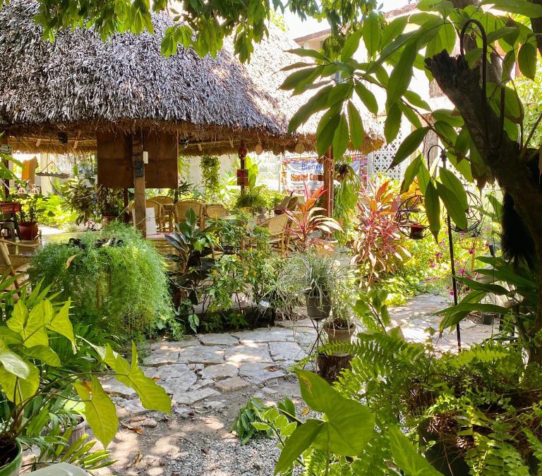 Zona Centro House | Hostal Casa Huasteca