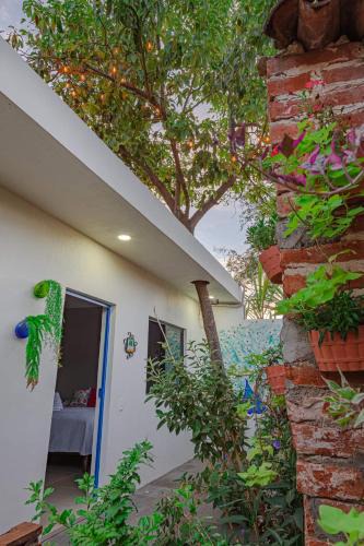 Cocula House | Hostal Casa Morada