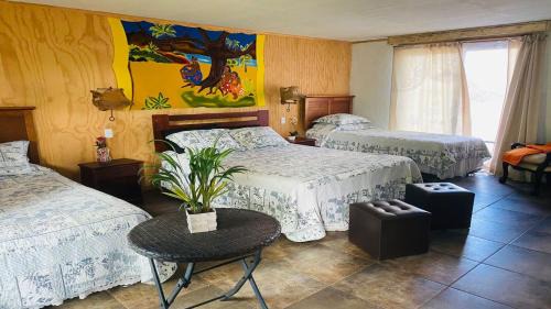 Hanga Roa House | Hostal Harepakoba