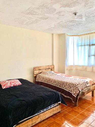 San Rafael House | Hostal Inty Kucha