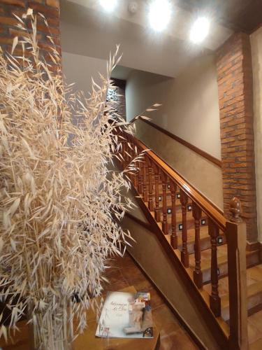 Aldeanueva de Ebro House | Hostal la Cepa