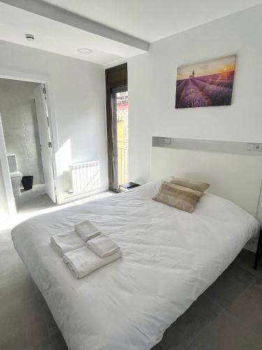 Centre Historic de Manresa House | Hostal La Masia