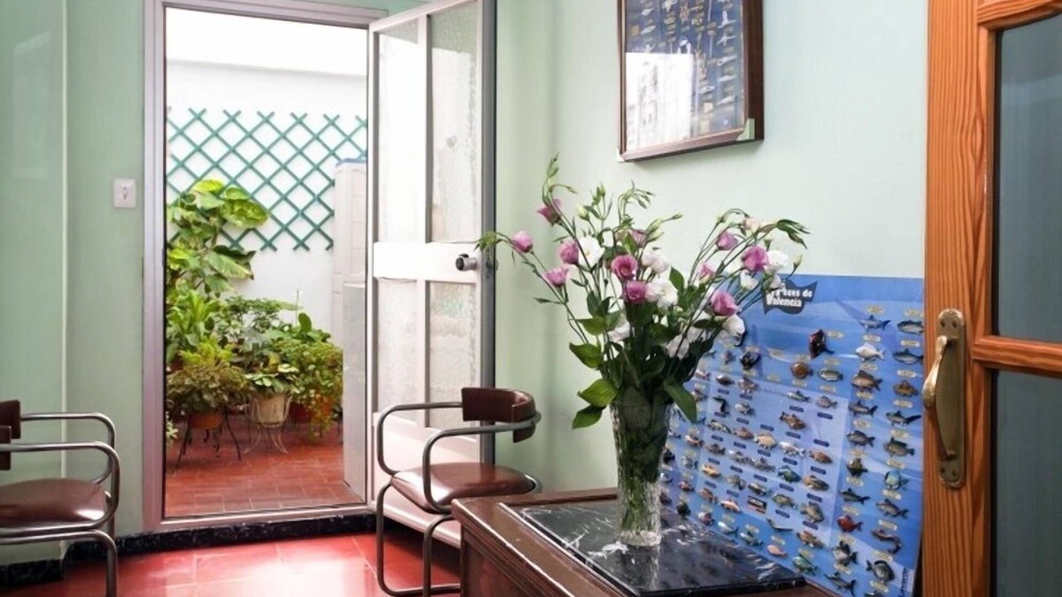 Oliva Hostel | Hostal Tropical