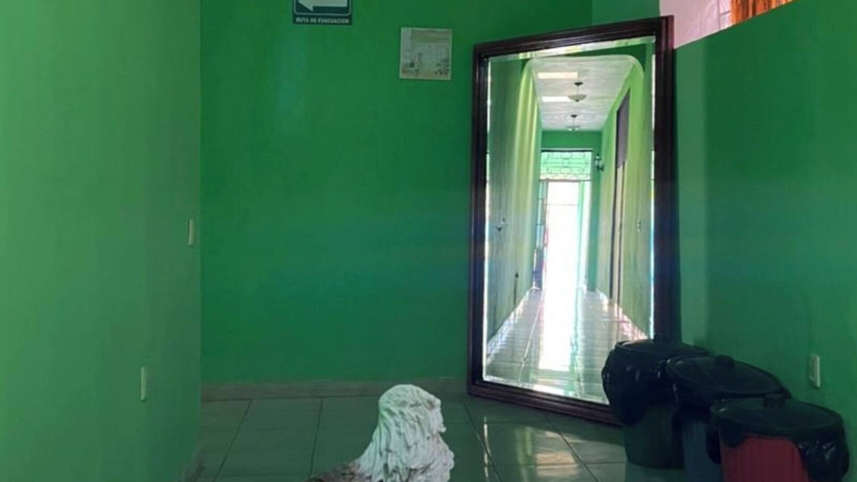 Tequila House | Hostel 1 block from downtown tequila with games room and bar.