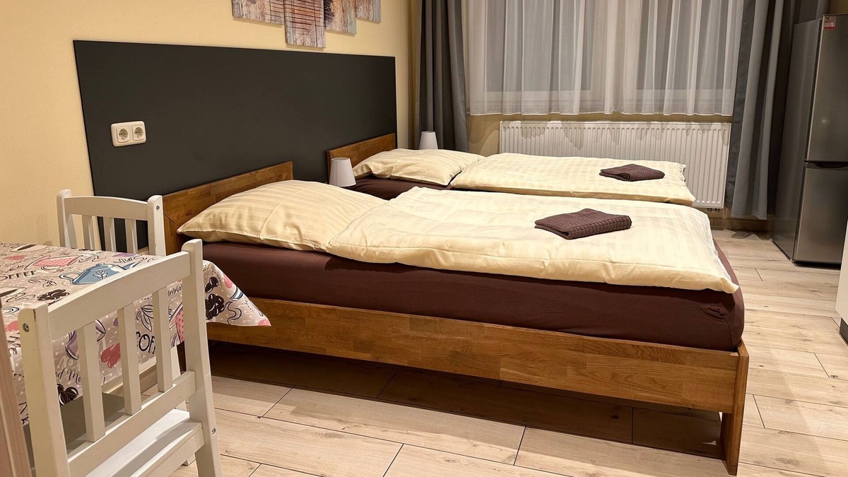 Neuhaus-Schierschnitz Apartment | Hostelzimmer 202 - Aparthotel Rotheul