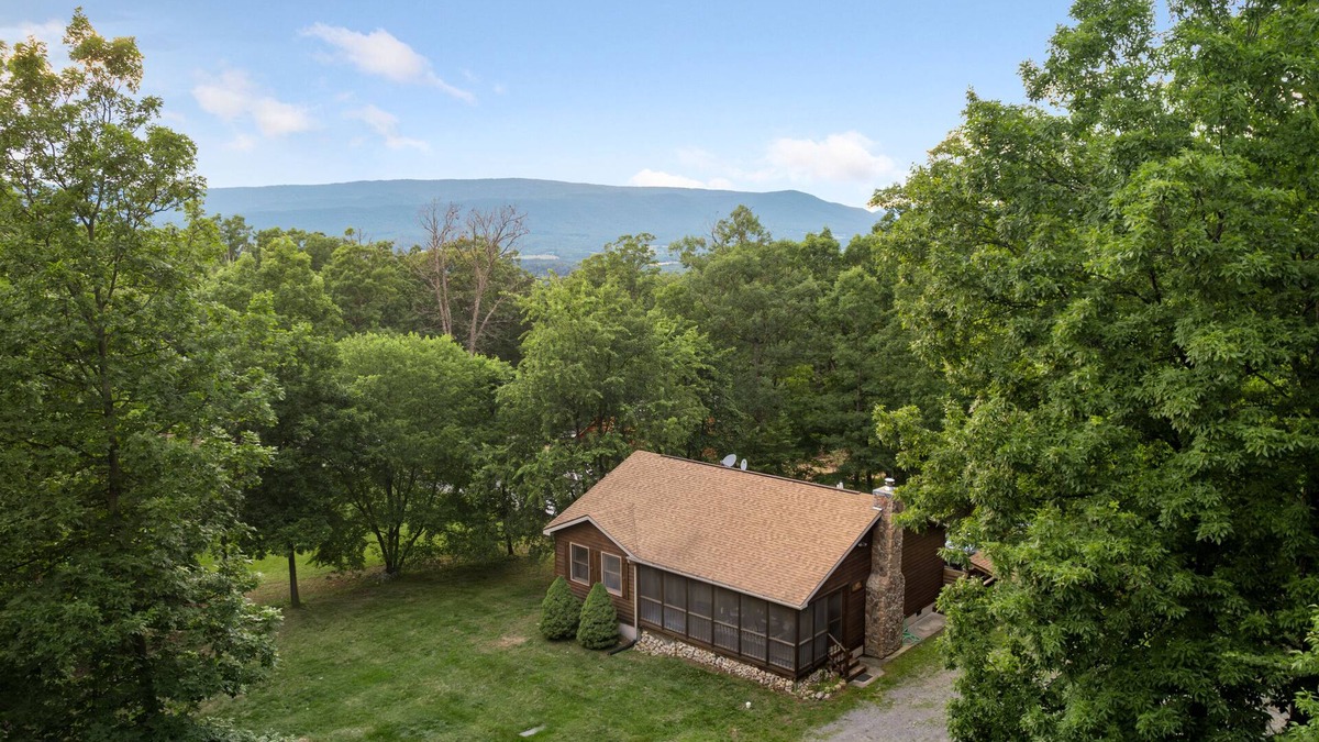 Shenandoah Cabin | Hot tub, fire pit, BBQ, dogs friendly, National Park, Luray caverns, Massanutten