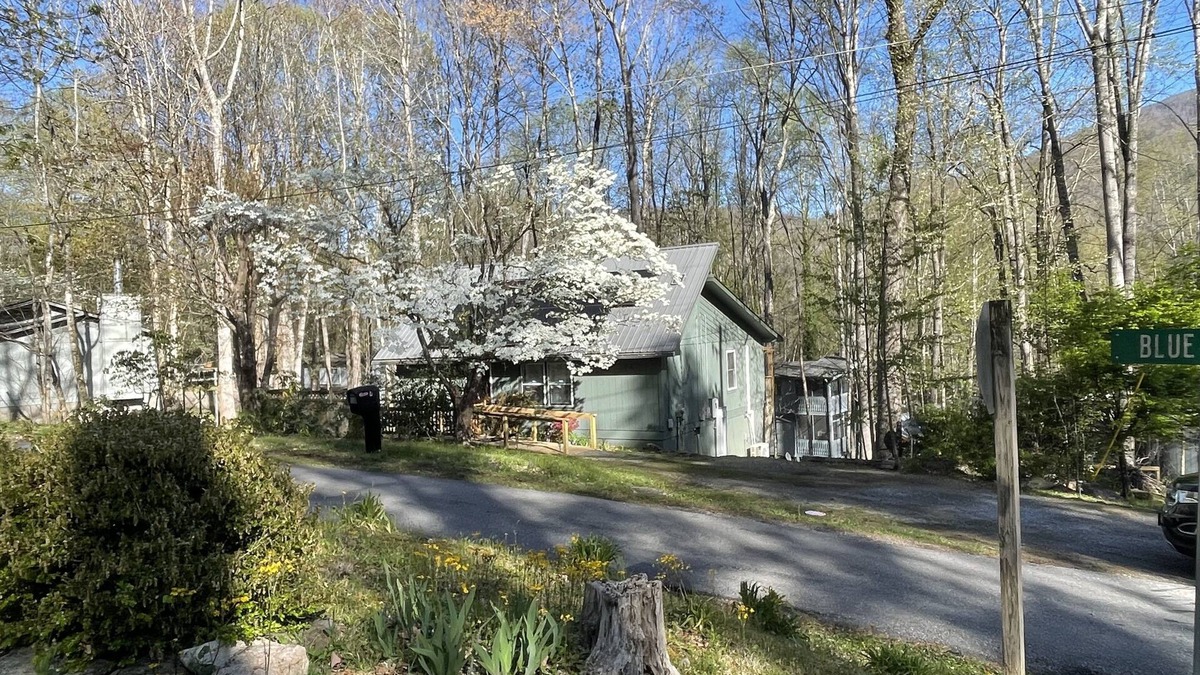 Maggie Valley House | Hot tub, walk-in tub, wheelchair accessible, pet loving, indoor & outdoor games