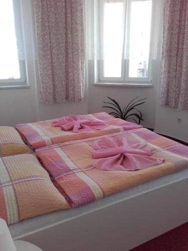 Cerveny Kostelec Hotel | Hotel Šrejber