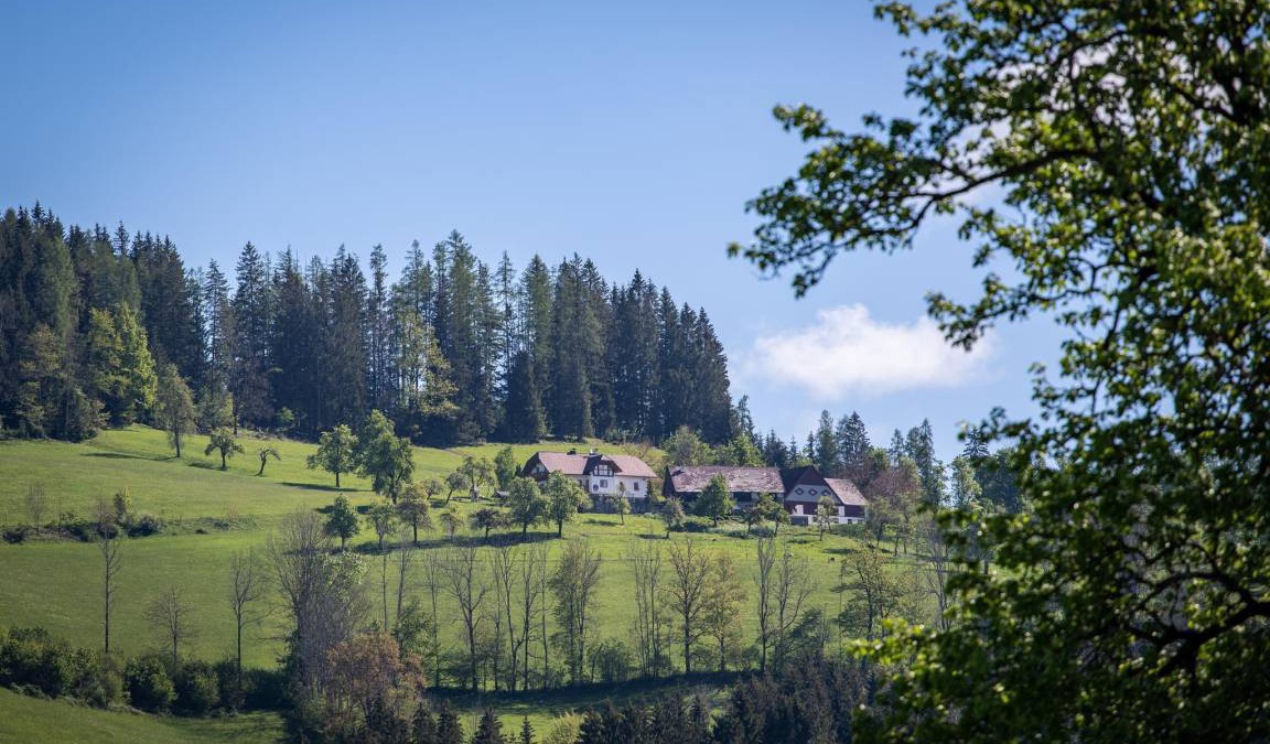 Edlbach Hotel | Hotel ∙ 2 bedrooms ∙ 3 guests
