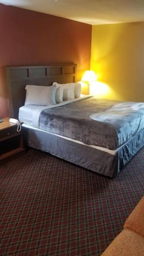 Stillwater Apartment | Hotel 2 Queens Hotel Room 228 Wi-Fi Booking