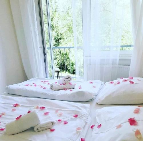 Ricany Hotel | Hotel Admiral