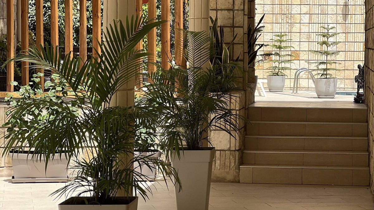 Dakar-Plateau Bed & Breakfast | Hotel Al Afifa