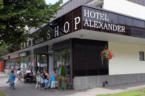 Maenttae-Vilppula Hotel | Hotel Alexander