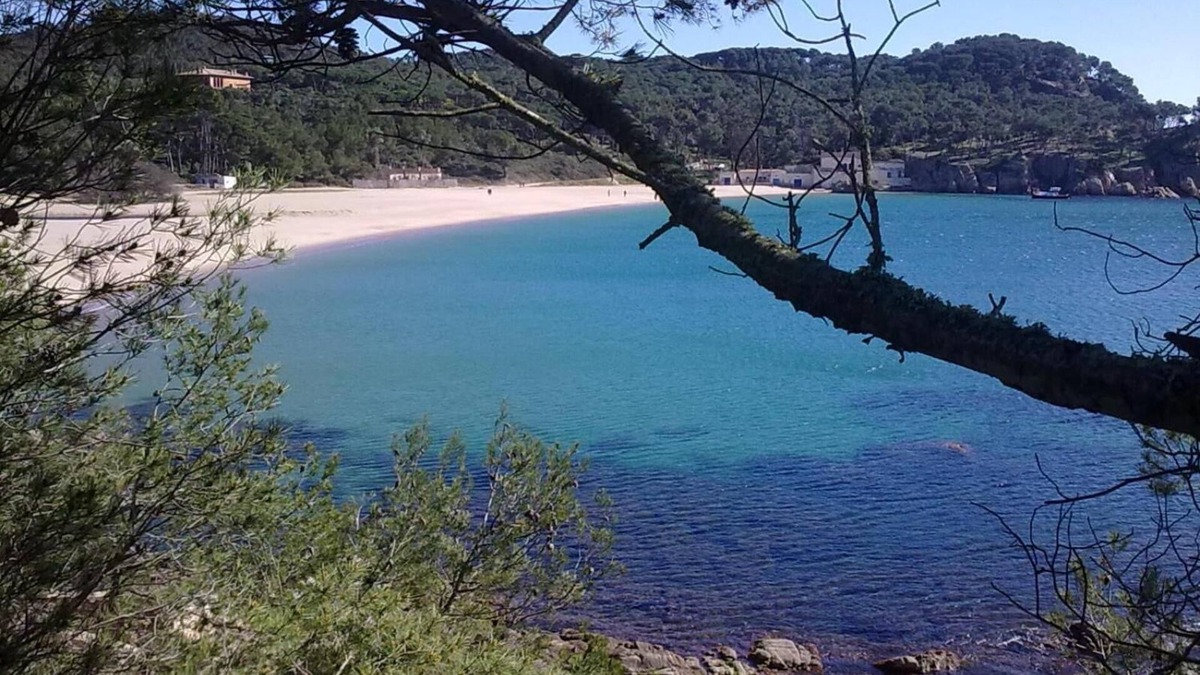 Palamos Hotel | Hotel Ancora