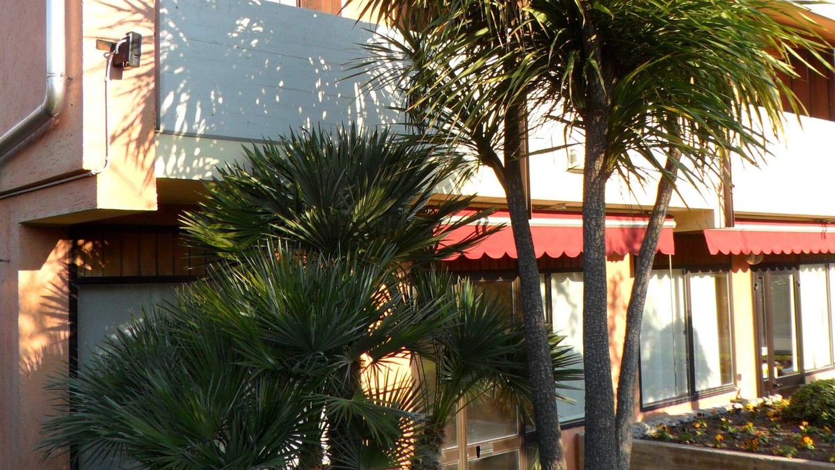 Cavaion Veronese Hotel | Hotel Andreis