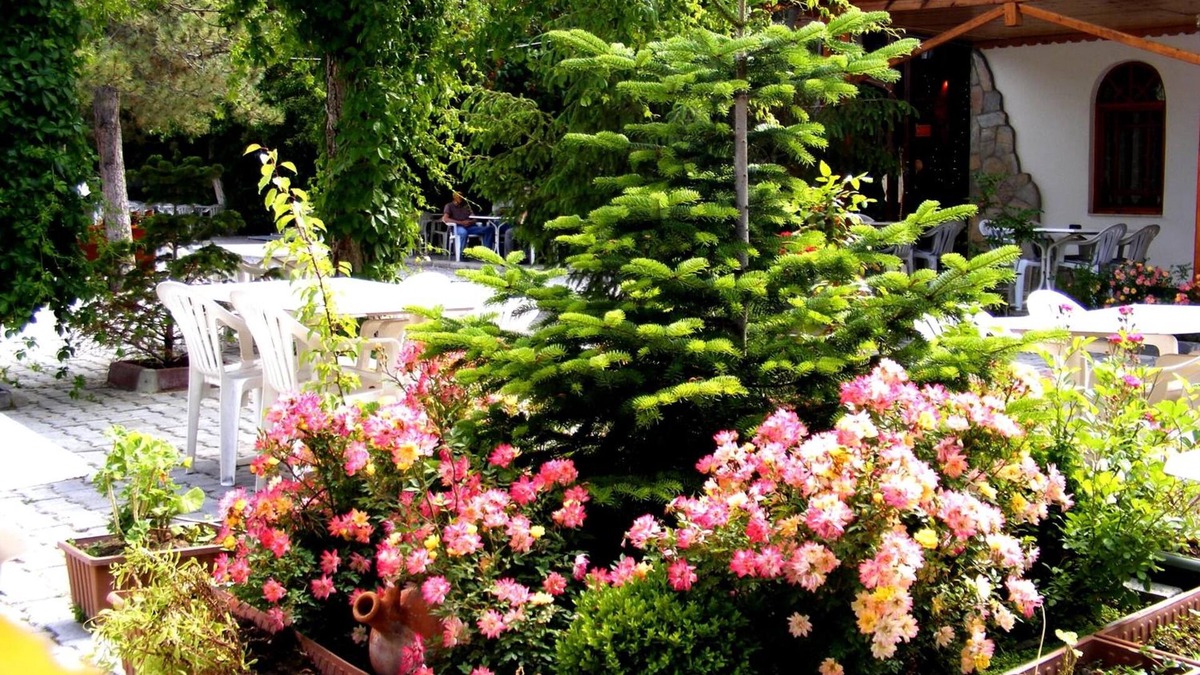 Bogazkale Hotel | Hotel Asikoglu