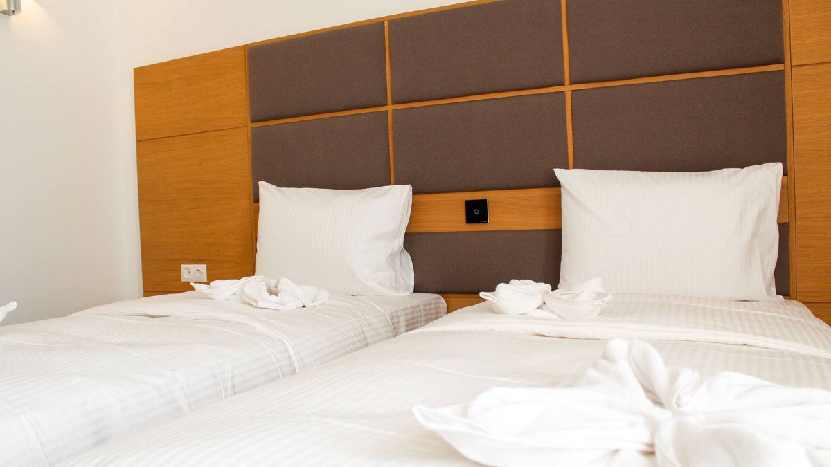 Buzau Hotel | Hotel Avenue