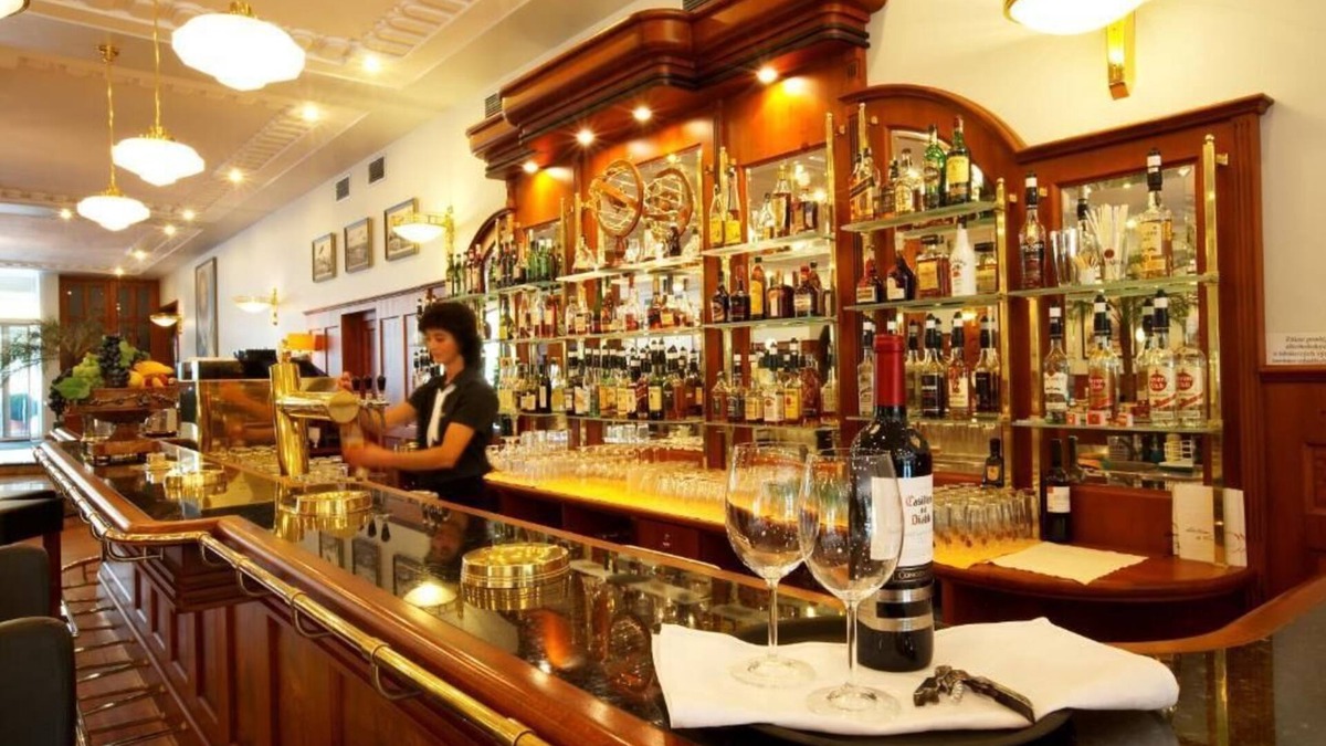 Vokovice Hotel | Hotel Avion