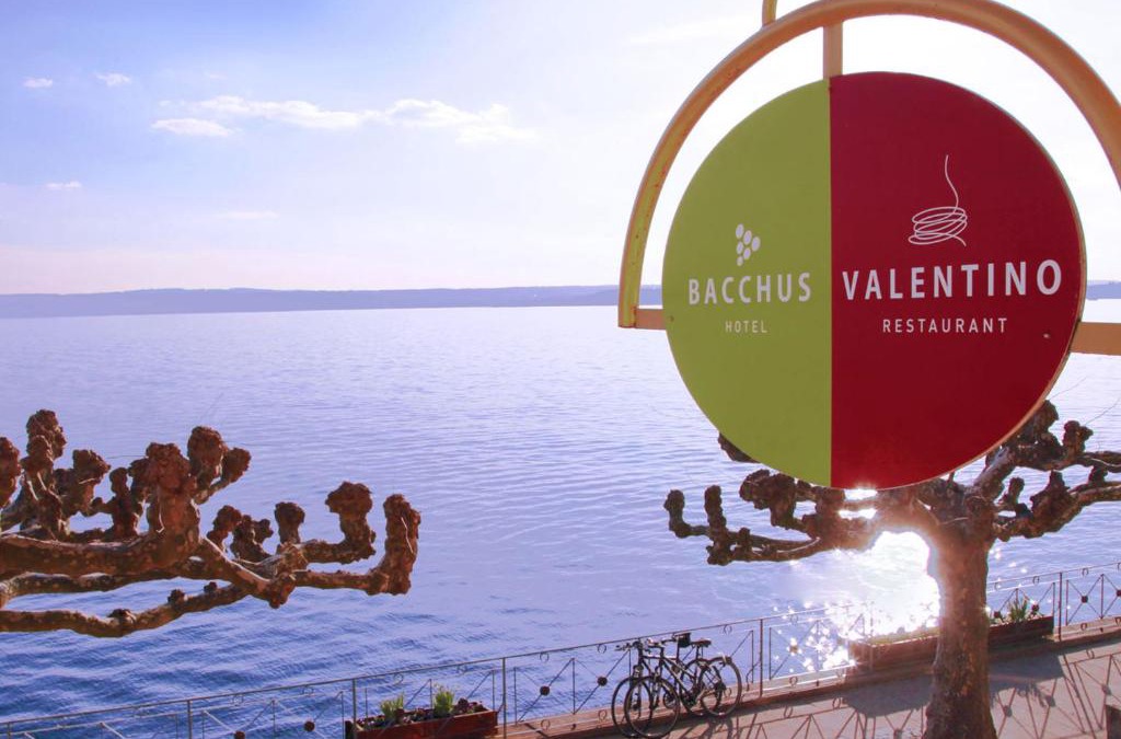 Meersburg Hotel | Hotel Bacchus am See