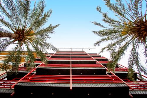 Gandia Hotel | Hotel Borgia