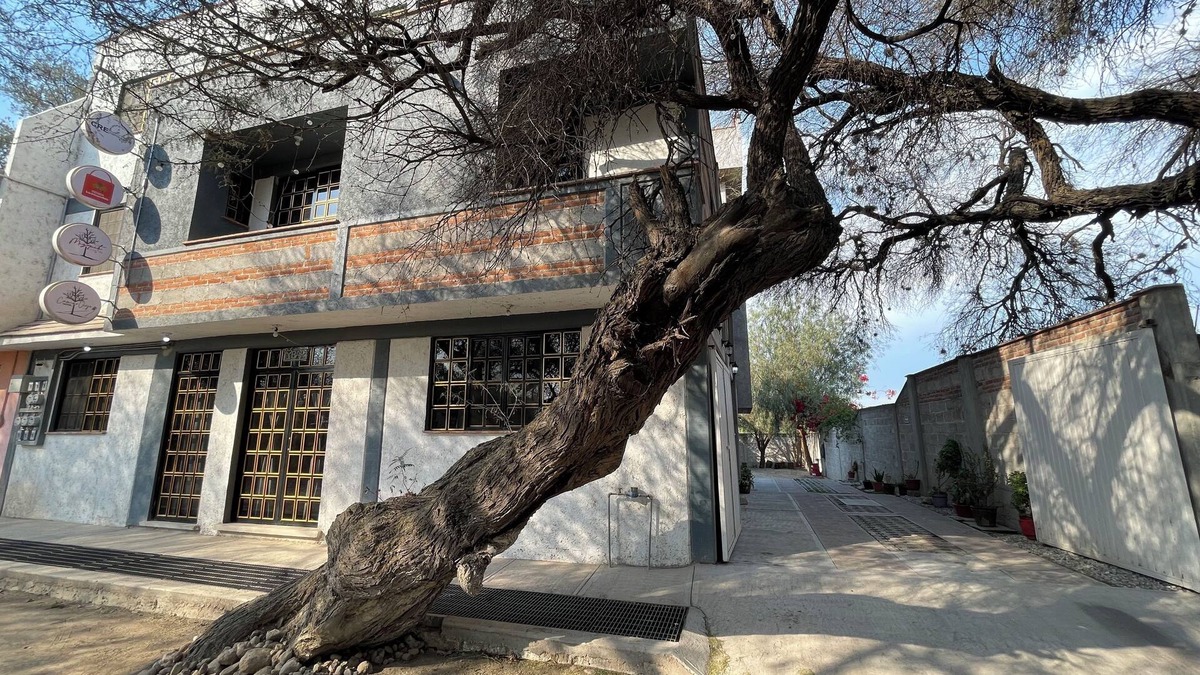 Ixmiquilpan Hotel | Hotel Camino Viejo