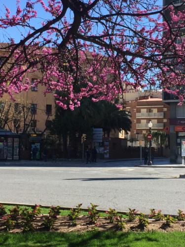 Tarragona Hotel | Hotel Cosmos Tarragona