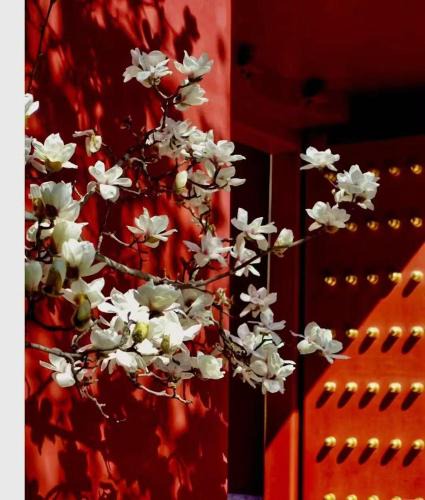 Wangfujing Shopping Area Hotel | Hotel Cote Cour Deductive Beijing - Quadrangle close to Tiananmen Square & Forbidden City & Nanluoguxiang, Walk to Wangfujing, English speaking, Free WiFi, Free Laundry, Free Wonton & Noodles with Tour ticket service, Free selfies with ancient costume