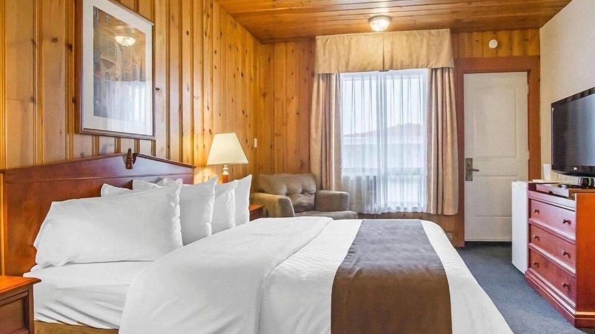 Forestville Hotel | Hotel Danube Bleu