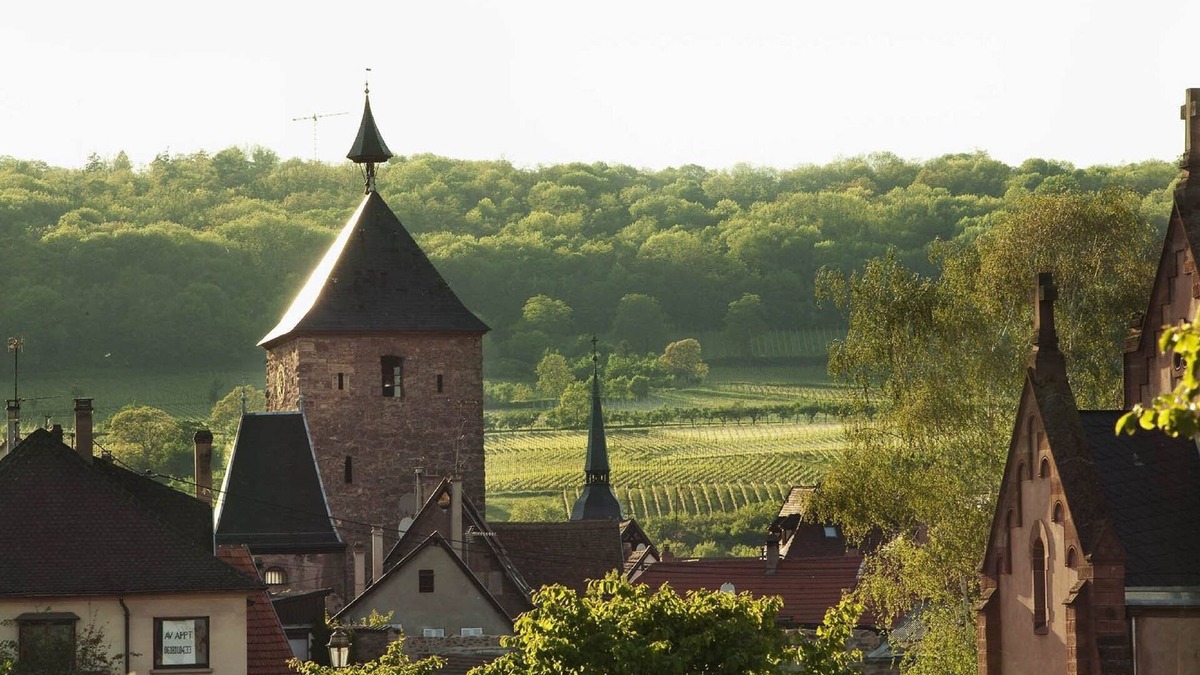 Molsheim Hotel | Hôtel Diana Restaurant & Spa by Happyculture