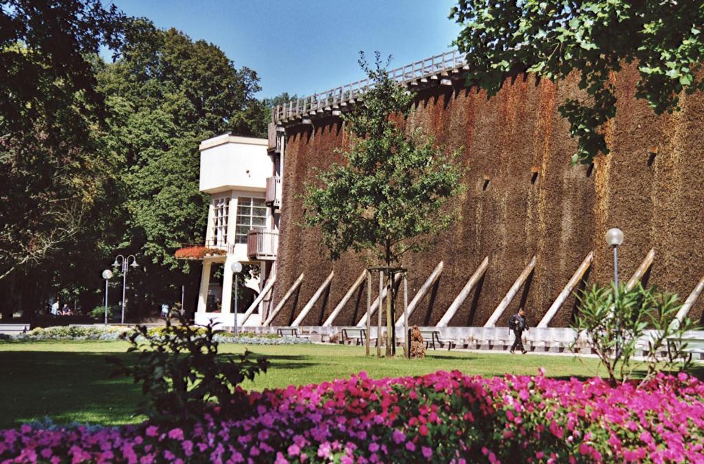 Bad Rothenfelde Apartment | Hotel Dreyer