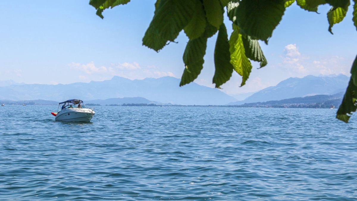 Horgen District Hotel | Hotel Du Lac