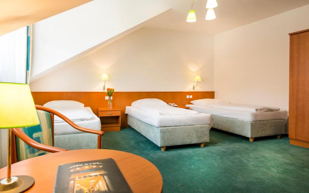 Ceske Budejovice Hotel | Hotel Dvorak