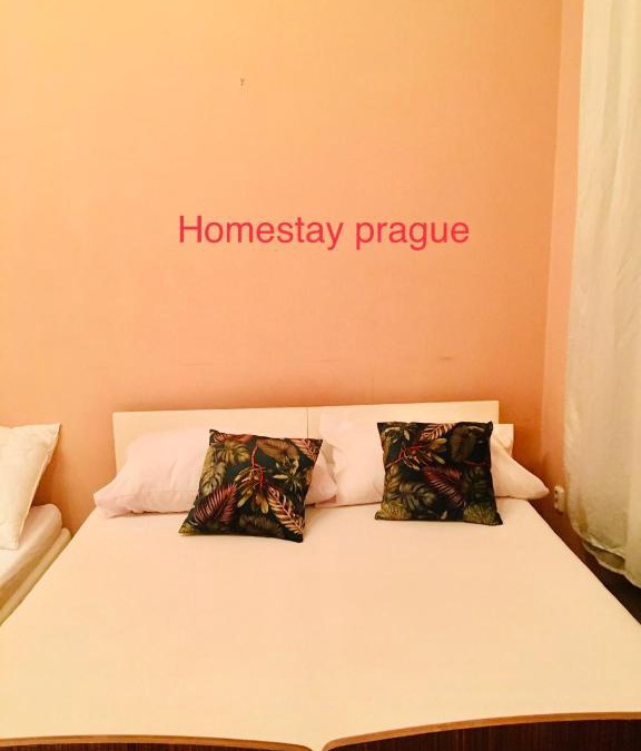 Vinohrady House | Hotel flat in Centre Prague 2