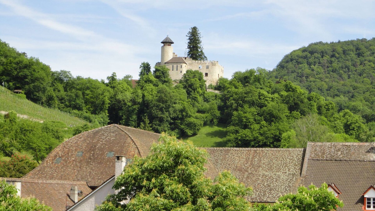 Arlesheim Hotel | Hotel Gasthof zum Ochsen
