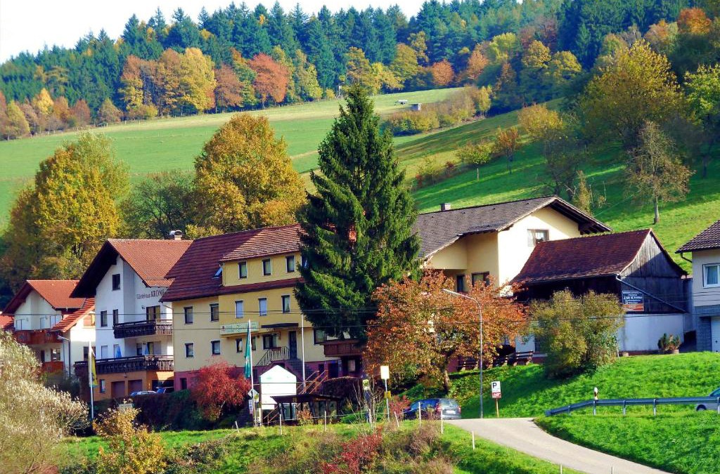 Gammelsbach Hotel | Hotel Gasthof Zur Krone