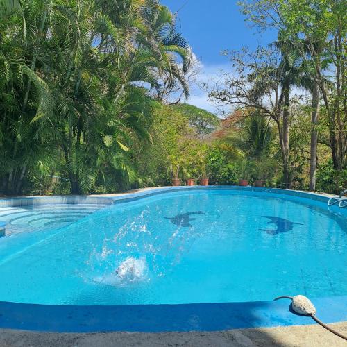 Junquillal Hotel | Hotel Georgi, Guanacaste CR