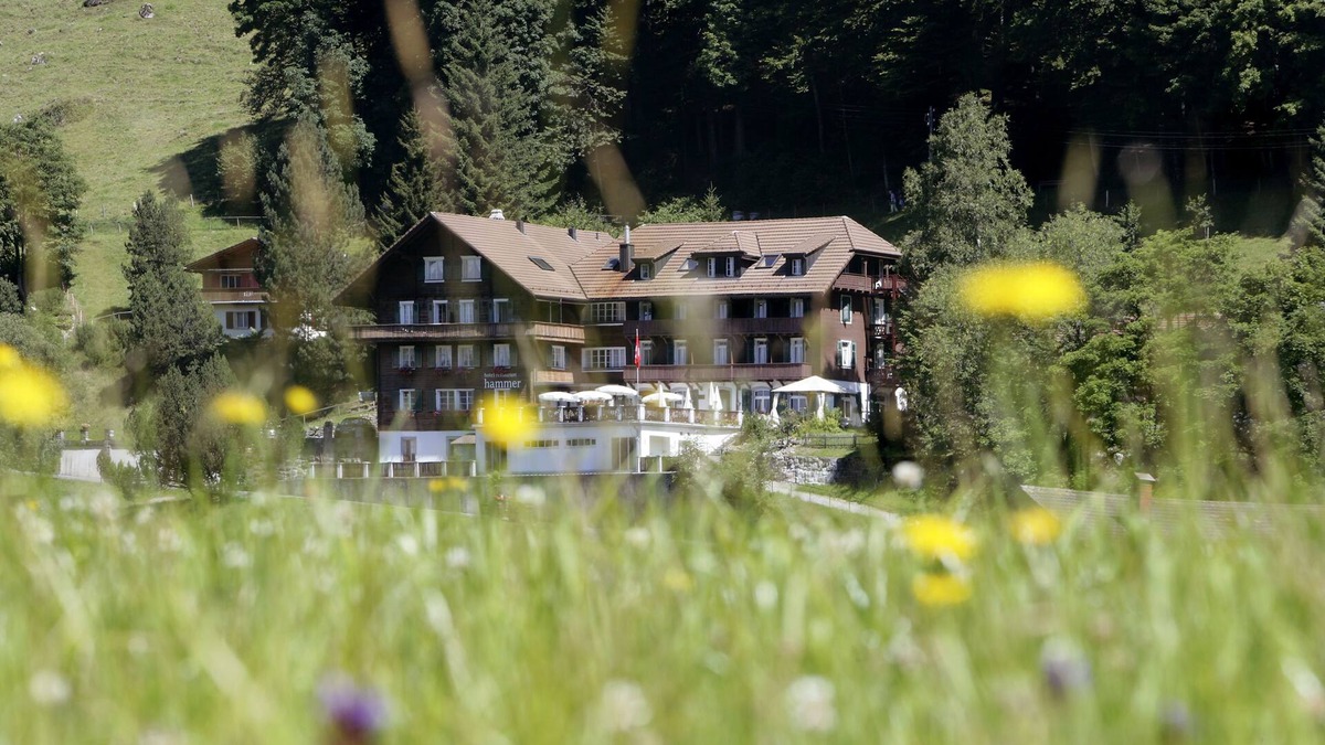 Eigenthal Hotel | Hotel Hammer