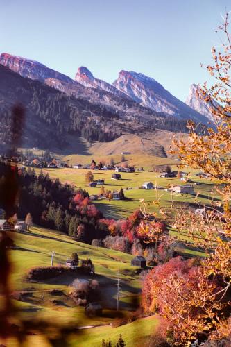 Wildhaus Hotel | Hotel Hirschen Wildhaus