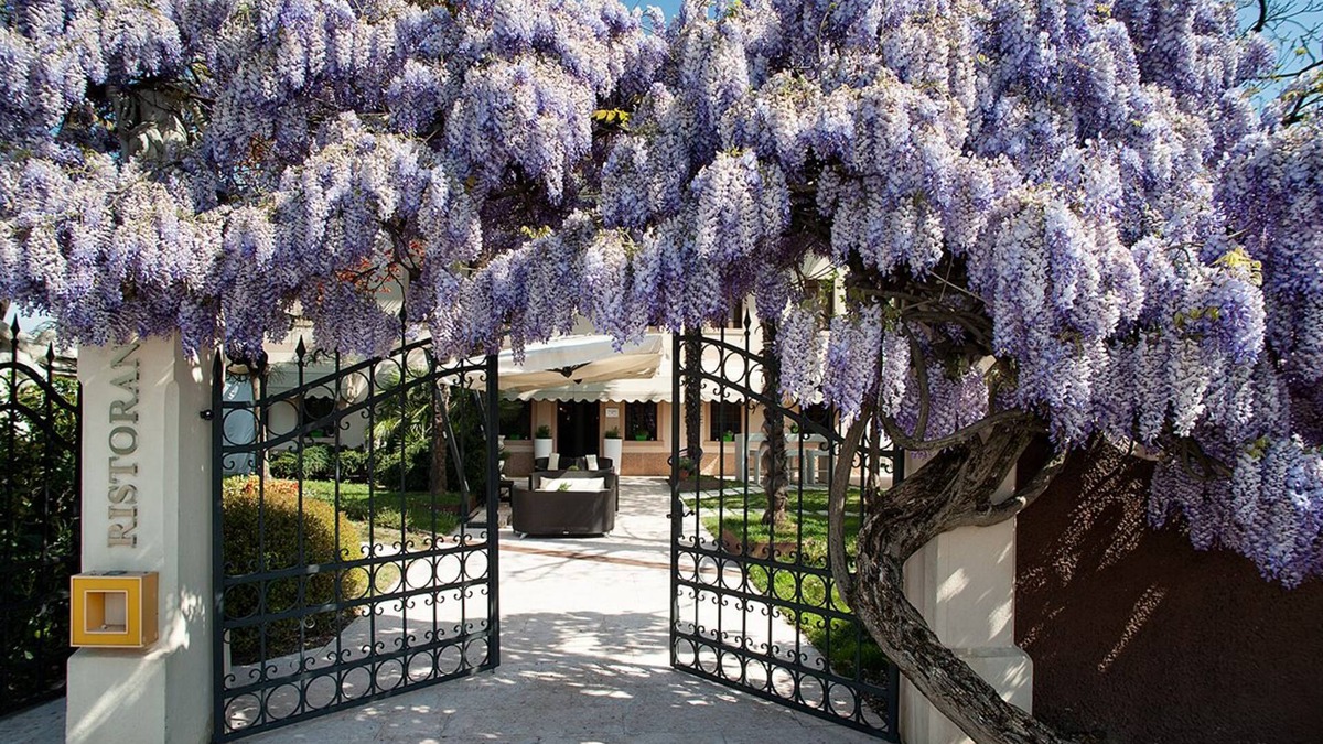 Cecchini Hotel | Hotel Il Cecchini