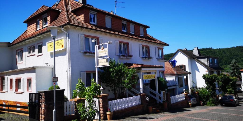 Bad Konig Hotel | Hotel Irene