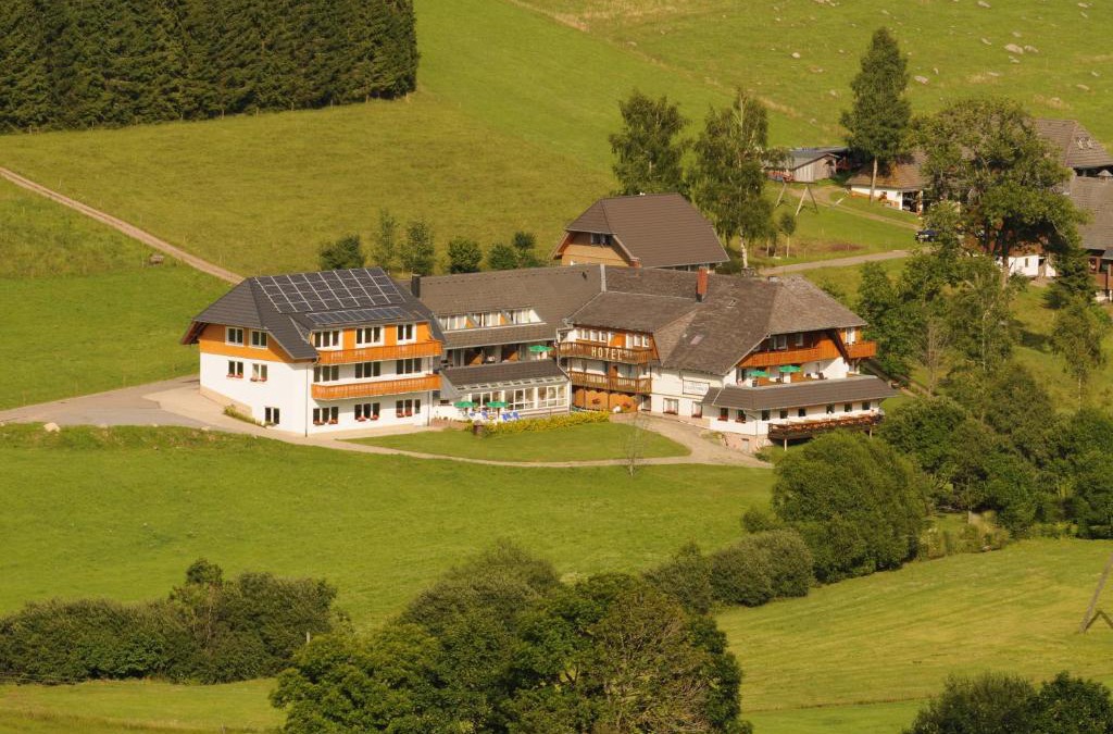 Schoenwald Hotel | Hotel Kaltenbach