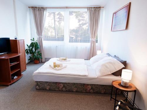 Doksy Hotel | Hotel Kamýk - Máchovo Jezero