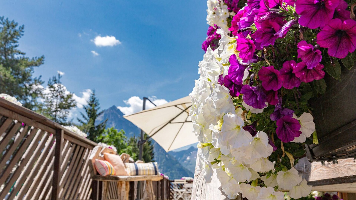 Les Deux Alpes Hotel | Hotel Les Flocons