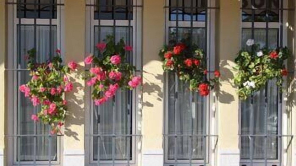 Aznalcazar Hotel | Hotel Lince