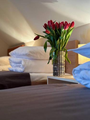 Cesnovice House | Hotel Marislav