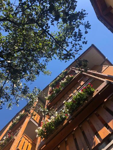 Lanzada Hotel | Hotel Moizi